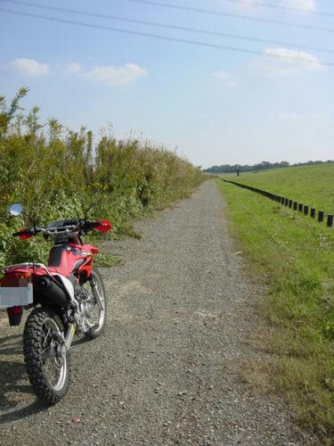 利根川沿い