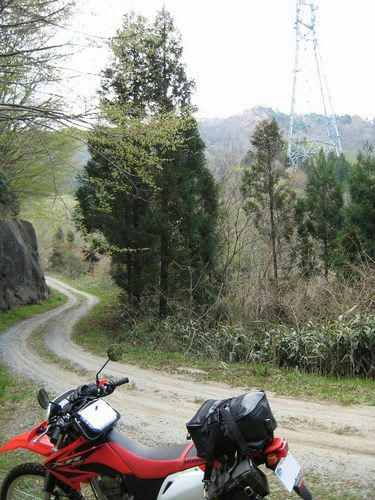 銅山林道