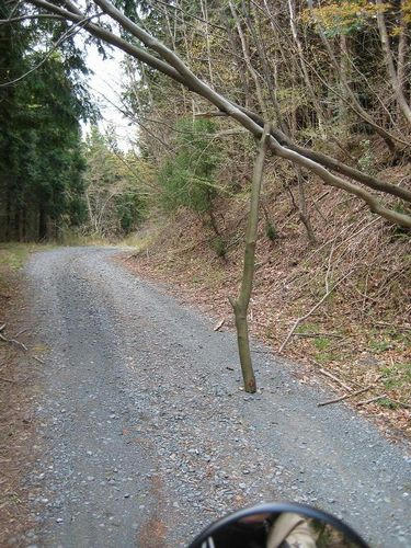 銅山林道