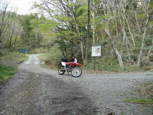 銅山林道支線