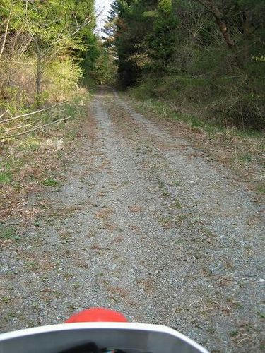 銅山林道支線
