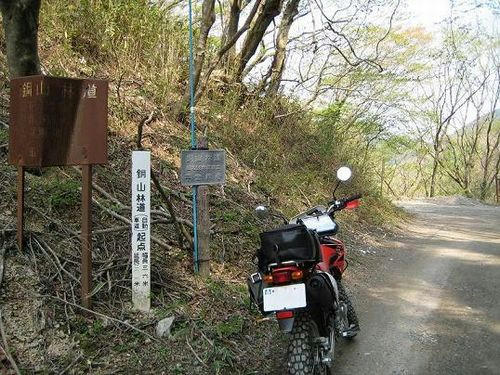 銅山林道