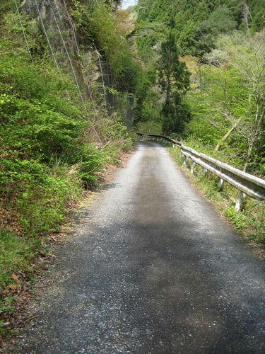県道247号線