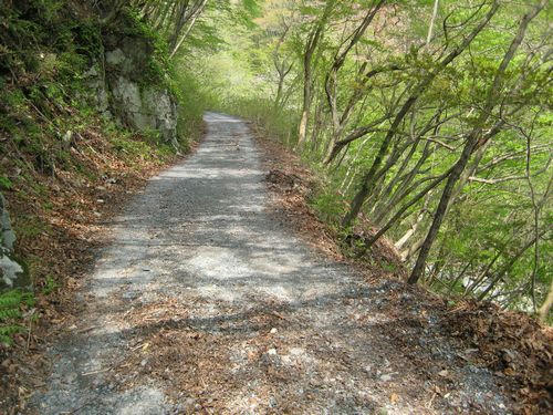県道247号線
