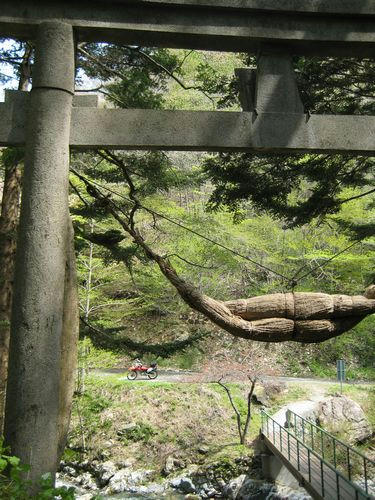 三森山登山口の神社