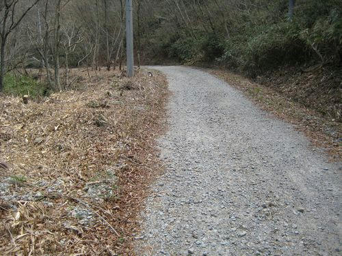 浅見川林道
