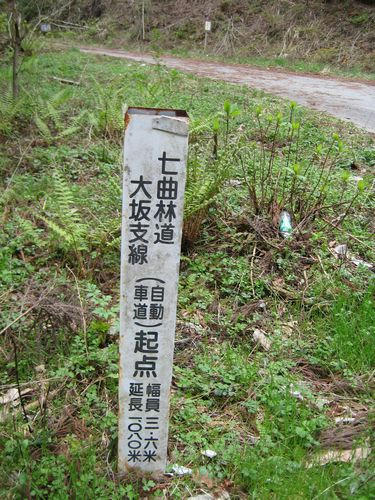 七曲林道大坂支線