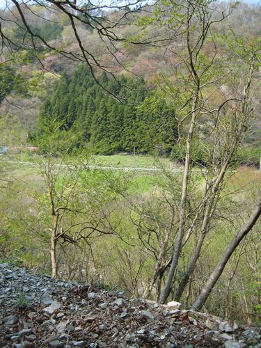 井出川林道柿平支線