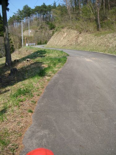 林道貝ノ坂線