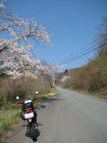 毛戸ダム方面へ