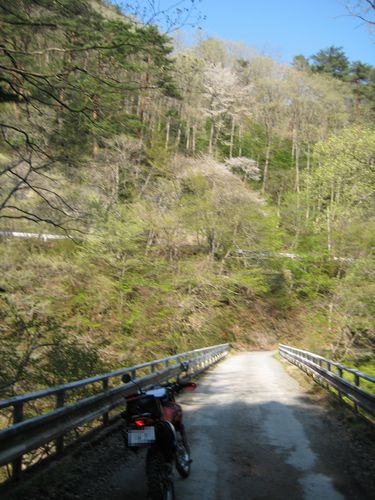 中丸木橋