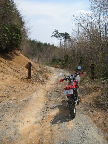 葛尾村の林道