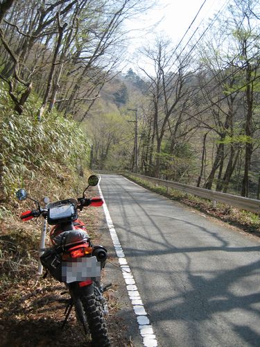 県道253号