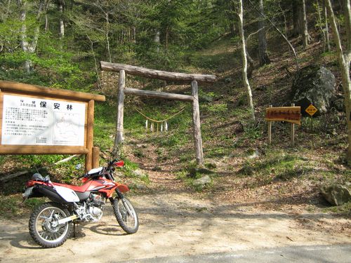 登山道