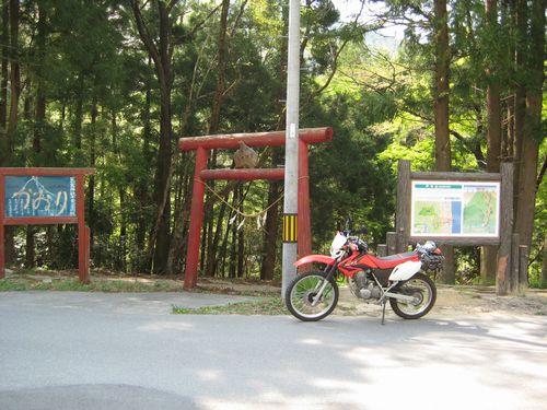 戸神山登山道