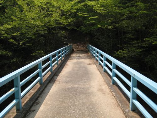 戸神山登山道