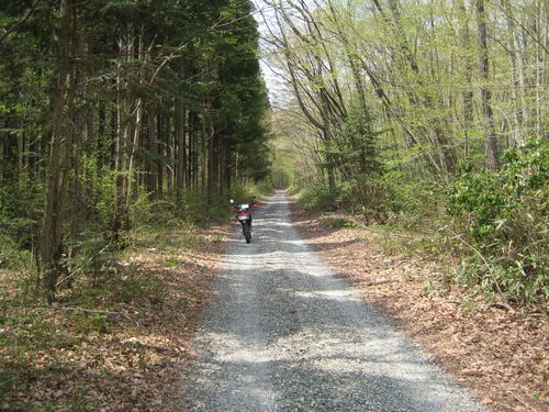 助常(馬場)林道