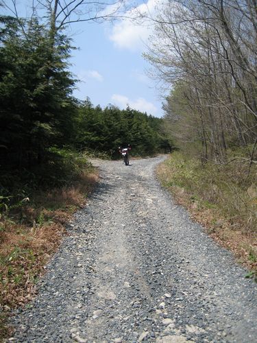 助常(馬場)林道