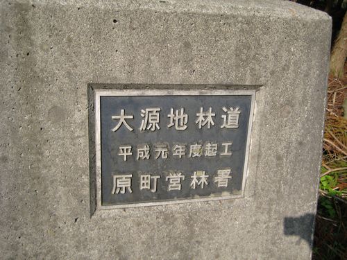 大源地林道