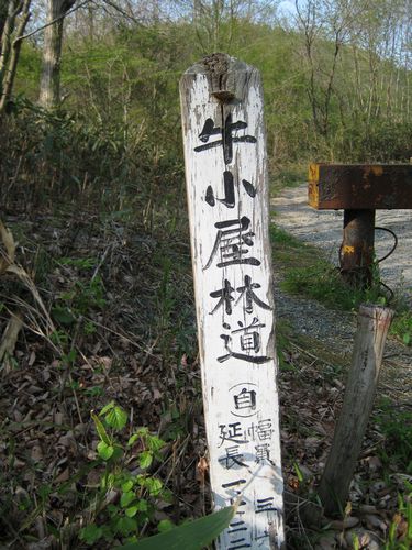 牛小屋林道