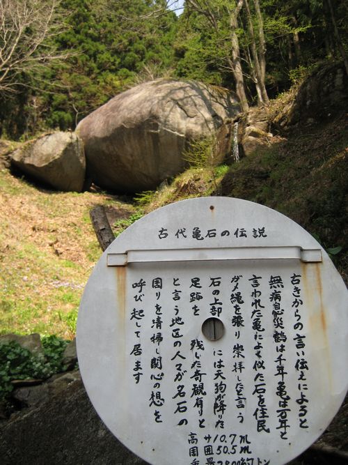 古代亀石
