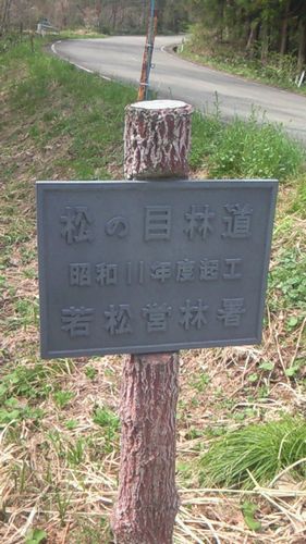 松の目林道