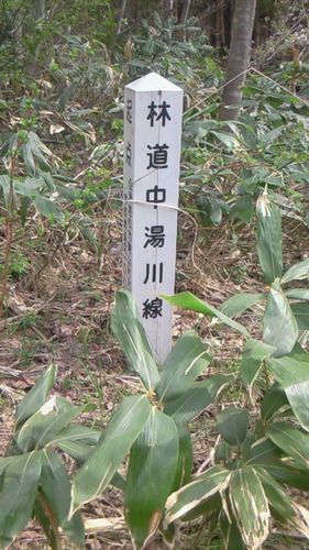 林道中湯川線