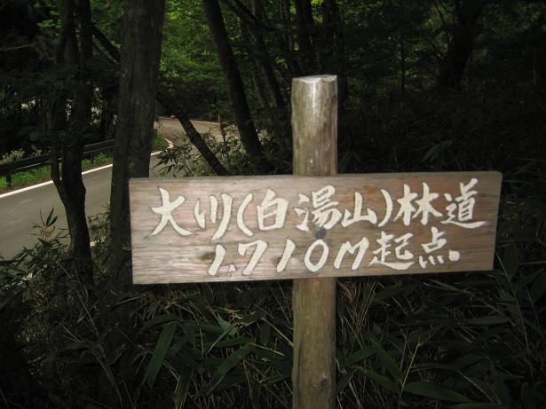 大川(白湯山)林道