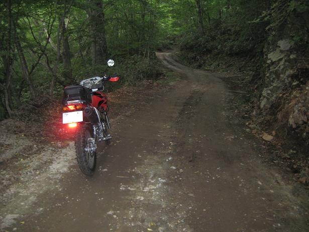 大川(白湯山)林道