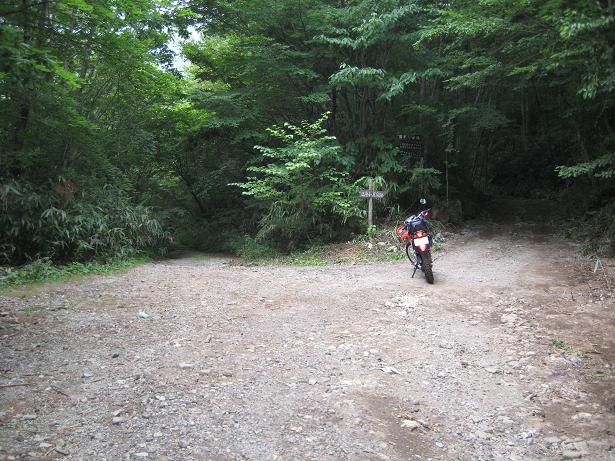 白湯山林道分岐