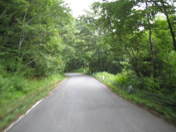 県道249号