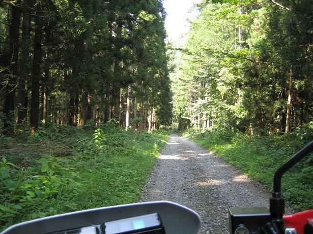 三河小田川線