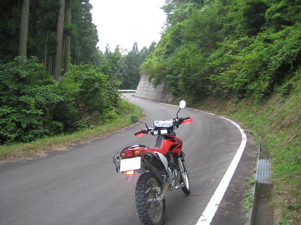 梨木平登館林道