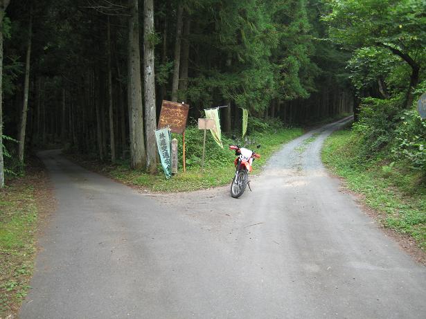 小塚林道