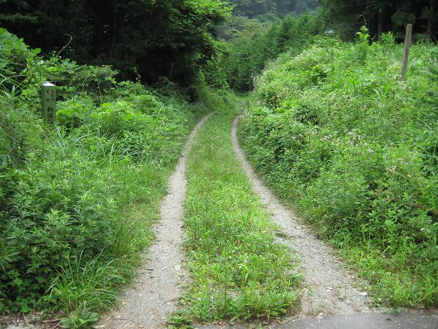 トロッコ道