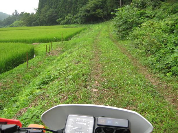トロッコ道