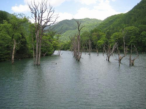 馬坂沢第2砂防ダム