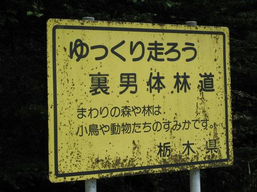 裏男体林道