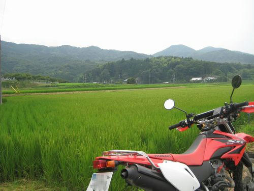 桜川市猿田地区付近