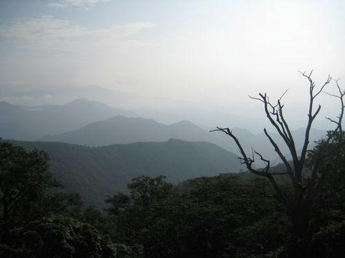 霧降高原