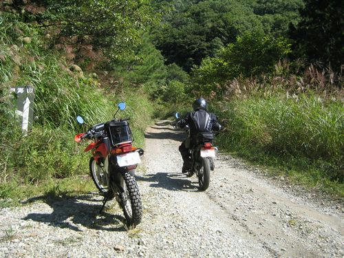 栗原川林道