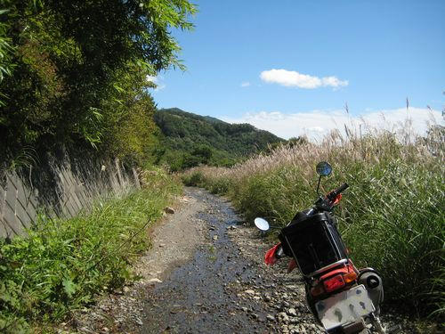 新地林道