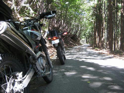 小中西山林道