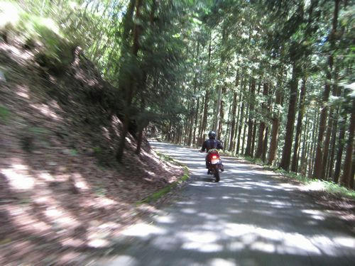 小中西山林道