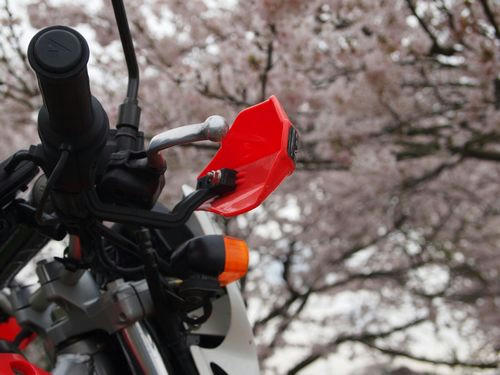 XRと桜