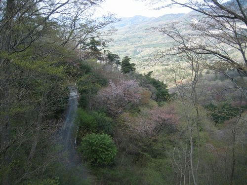 端上林道