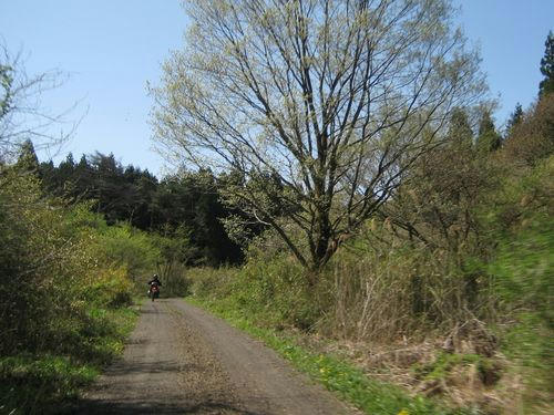 旗宿・金山林道へ