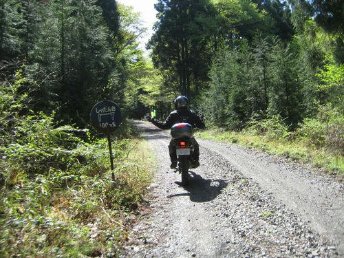 旗宿・金山林道