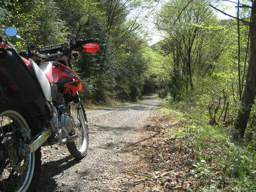 旗宿･金山林道