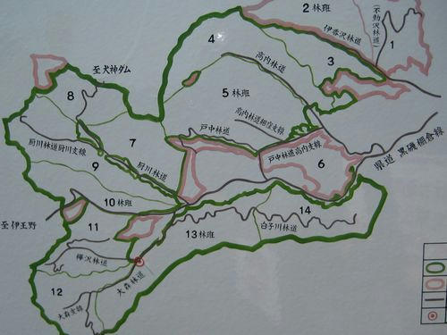 大森林道地図